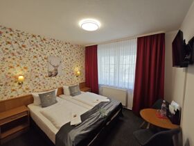 Erlebnis-Auszeit im Harz - 2 Urlaubstage in Ilsenburg