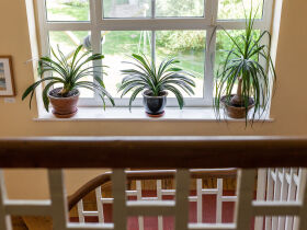 6 Tage Kurzurlaub in der Seenplatte inkl. Schifffahrt