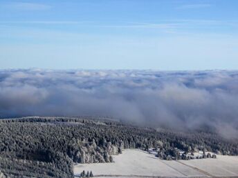 Bild 14 von 18
