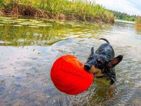 1001 Nacht geschenkt - Erholung am Maltschacher See | 3 Nächte