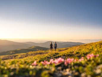 Sommerurlaub in den Kärntner Nockbergen inklusive Kärnten Card | 6 Nächte  