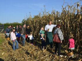 Entspannender Kurzurlaub zwischen den Dolomiten und der Adria | 7 Nächte