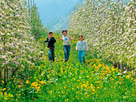 Entspannender Kurzurlaub zwischen den Dolomiten und der Adria | 7 Nächte