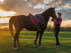 Entspannender Kurzurlaub zwischen den Dolomiten und der Adria | 7 Nächte