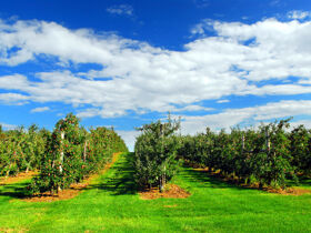 Entspannender Kurzurlaub zwischen den Dolomiten und der Adria | 7 Nächte