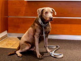 39 Museen in 2 Tagen | 4 Tage inkl. Museumsuferticket