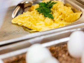 39 Museen in 2 Tagen | 4 Tage inkl. Museumsuferticket