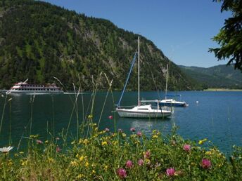 Bild 36 von 37