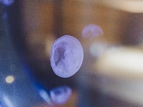 Sommerspecial inklusive 