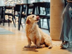 FreundInnen Auszeit im Kunsthotel l 2 Tage Städtereise Graz 