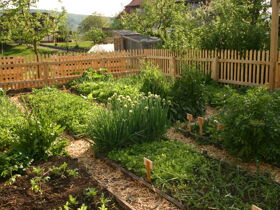 Guesthouse Novak: Naturgenuss und Ruhe im Herzen Sloweniens | 3 Nächte