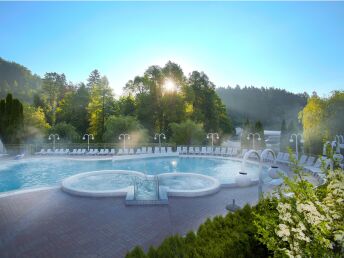 Romantikurlaub in der slowenischen Therme Topolšica inkl. Massage & Halbpension | 6 Nächte