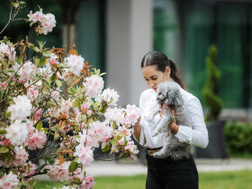 Entspannende Auszeit mit Ihrem Vierbeiner in Slowenien inkl. Halbpension | 2 Nächte