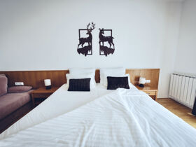 Wellness & Stadt - Urlaub in Slowenien inkl. Halbpension und Gondelfahrt nach Maribor | 2 Nächte