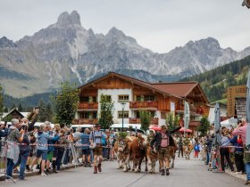 Almabtrieb im schönen Filzmoos inkl. Sommercard | 4 Nächte 