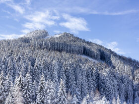 Winterliche AusZeit nahe der Rodelbahn auf der Hochwurzen in Schladming | 2 Nächte
