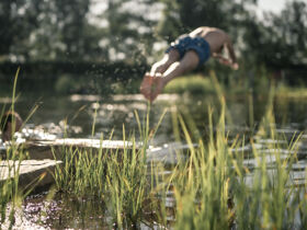 Entdeckertage inkl. Vollpension in OÖ ersten Wanderdorf | 3 Nächte 