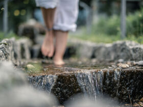 Entdeckertage inkl. Vollpension in OÖ ersten Wanderdorf | 3 Nächte 