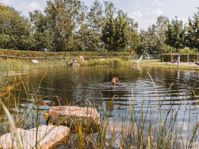 Entdeckertage inkl. Vollpension in OÖ ersten Wanderdorf | 3 Nächte 