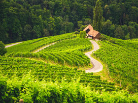 Wellnessauszeit in Maribor inkl. Massage | 3 Nächte