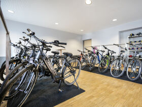 Aktivurlaub im Nationalpark Thayatal | 7 Nächte 