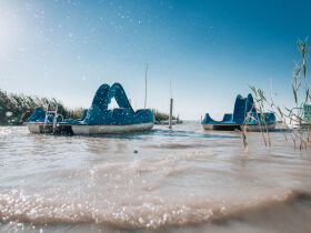 Kurzurlaub im modernen Mobile Home direkt am Neusiedler See | 3 Nächte