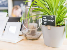 Raus aus dem Alltag – Rein ins Urlaubsglück in der Hochsteiermark I 3 Nächte