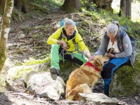 Raus aus dem Alltag – Rein ins Urlaubsglück in der Hochsteiermark I 3 Nächte