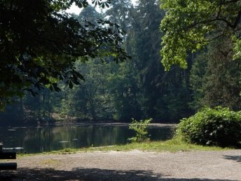 Bild 18 von 19