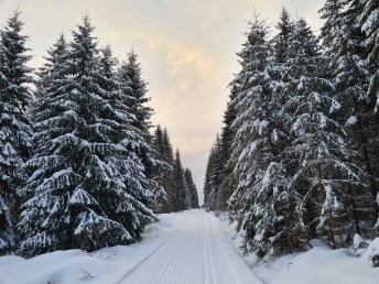 Osterurlaub im Vogtland- 4 Tage inkl. HP plus