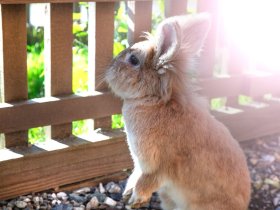 Bergauszeit in der Region Nassfeld-Weißensee | 2 Nächte