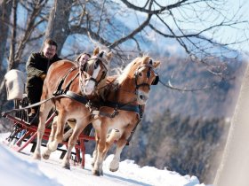 Aktivurlaub im Mariazellerland: Wandern, Wellness & Alpenidylle I 2 Nächte