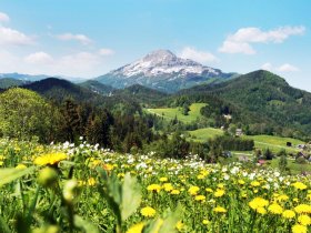 Aktivurlaub im Mariazellerland: Wandern, Wellness & Alpenidylle I 2 Nächte