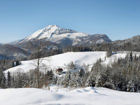 Wintererlebnis Mariazeller Land: Ski, Natur und Wellness I 2 Nächte