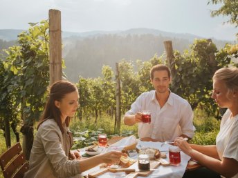 Wohlfühlurlaub zwischen Weinbergen & Natur I 2 Nächte