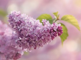 Erste Mai-Wochenende an der Ostsee | 3 ÜHP