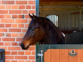 Verwöhn-Kurzurlaub - 3 = 2 direkt am See