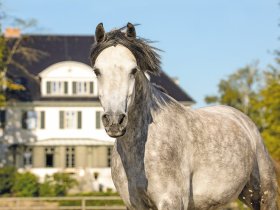 Verwöhn-Kurzurlaub - 3 = 2 direkt am See