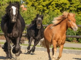 Verwöhn-Kurzurlaub - 3 = 2 direkt am See