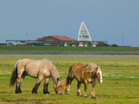 3 Tage Kurzurlaub - Auszeit vom Alltag  