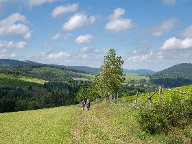 Mitten inne Woche | 3 Tage in Winterberg im Sauerland