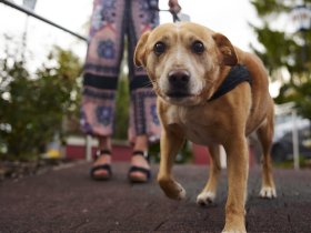 Schwäbisches Weinwochenende