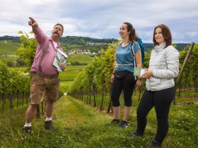 Dinner & Show mit Frl. Wommy Wonder - Die schwäbische Toskana live erleben!