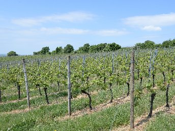 Vital Wochenende & Glaubersalztherme in Bad Bertrich