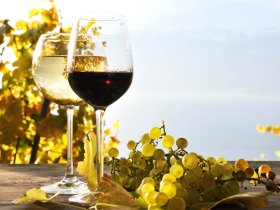 Erholung & Entspannung: Ihre Auszeit im Waldviertel inkl. Frühstück | 7 Nächte