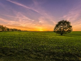 5 Entdeckertage im Alten Land bei Hamburg inkl. Halbpension - Nordeuropas größtes Obstanbaugebiet