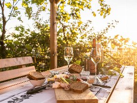 3 Nächte im Weinberg-Chalet und 1 Tag Therme Bad Radkersburg