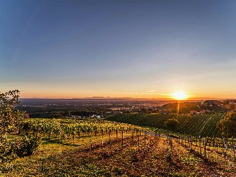 Erholung & Romantik im steirischen Weinberg-Chalet | 3 Nächte