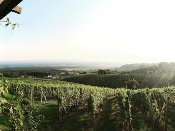 Erholung & Romantik im steirischen Weinberg-Chalet | 3 Nächte