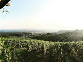 3 Nächte im Weinberg-Chalet und 1 Tag Therme Bad Radkersburg